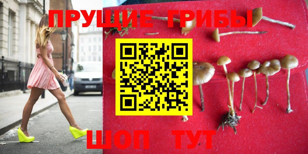 Галлюциногенные грибы ЛСД  Галлюциногенные грибы прущие грибы  Вход с VPN  Рыбинск 