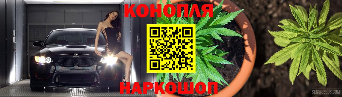 Бошки Шишки сатива Рыбинск